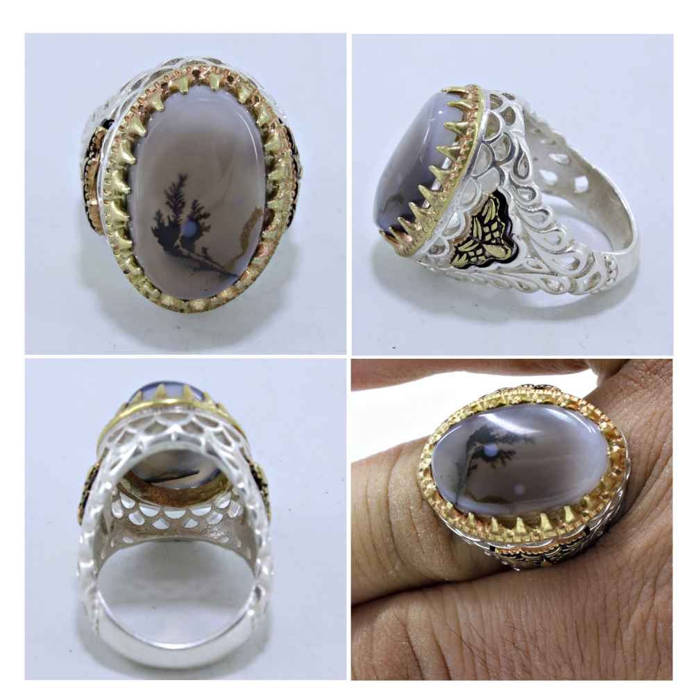 Persischer Dendritischer Achat Shajar Silberring für Männer Ahmad
