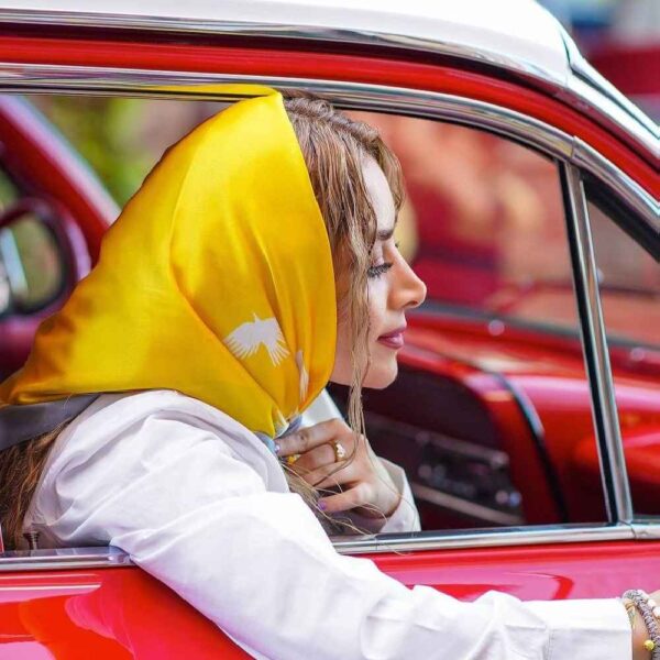 Seiden-Mini-Halstuch für Damen - Künstlerischer Druck Luxuriöses & Lebhaftes Design Azadi