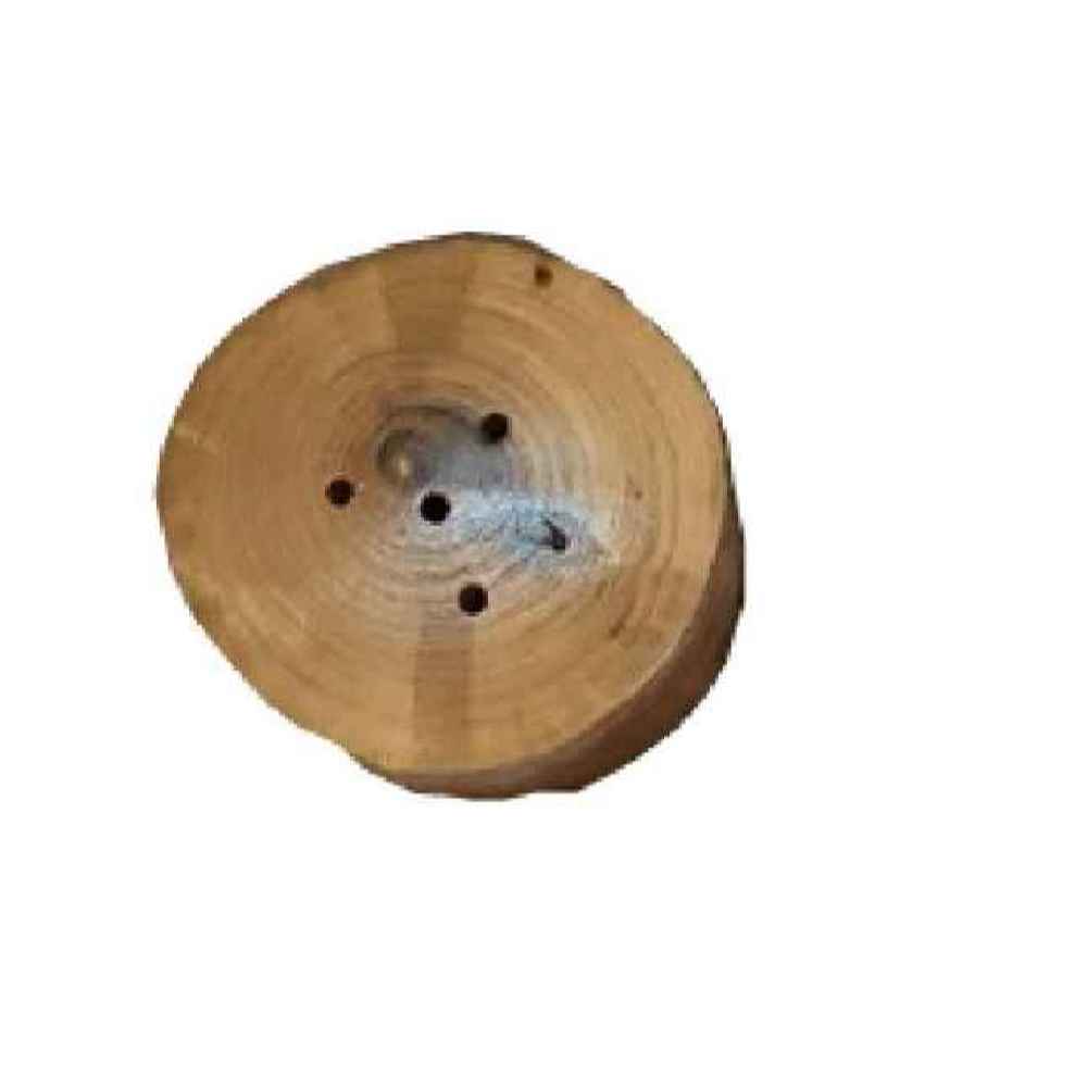 Set aus Holz Salz- und Pfefferstreuern Adelia