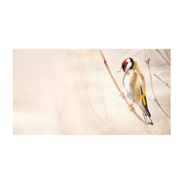 Original realistische Kunstmalerei - Öl auf Karton, Vogel