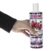 Parjak Granatapfel Shampoo für alle Haartypen – Reich an Antioxidantien & Nährend (Packung mit 4)