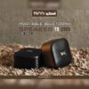 Tesco Wireless & Tragbarer Bluetooth Lautsprecher T2353