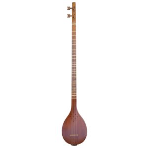 Persische Setar-Saiteninstrument – Handgefertigt von Hesam Malekshahi