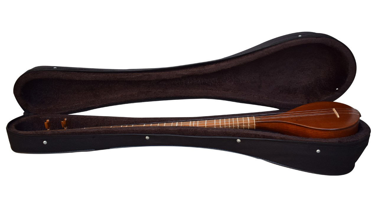 Persischer Setar – Handgefertigtes Saiteninstrument von Hesam Malekshahi