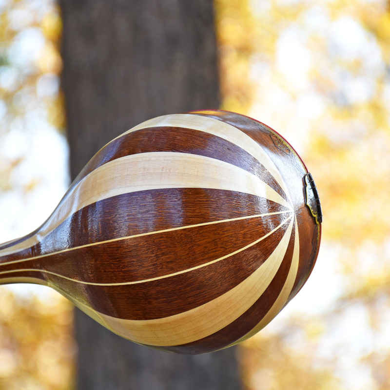 Persischer Setar – Handgefertigtes Saiteninstrument von Iransaz, Modell Eshgh-e To