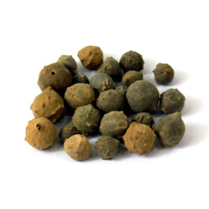 Aleppo Eichen-Gallnuss (Majuphal) – 500 g
