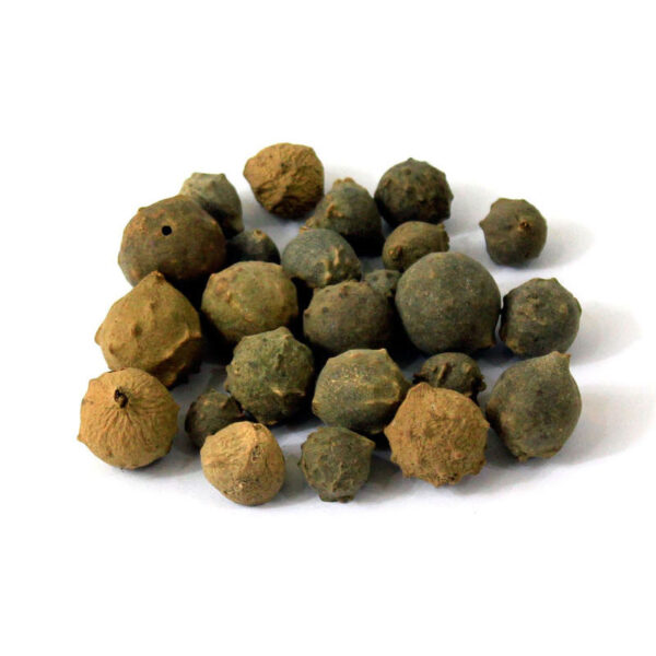 Aleppo Eichen-Gallnuss (Majuphal) - 500 g