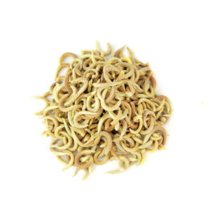 Getrocknete Astragalus Hamosus Samenkapseln (Haare Vetchling) – 500 g