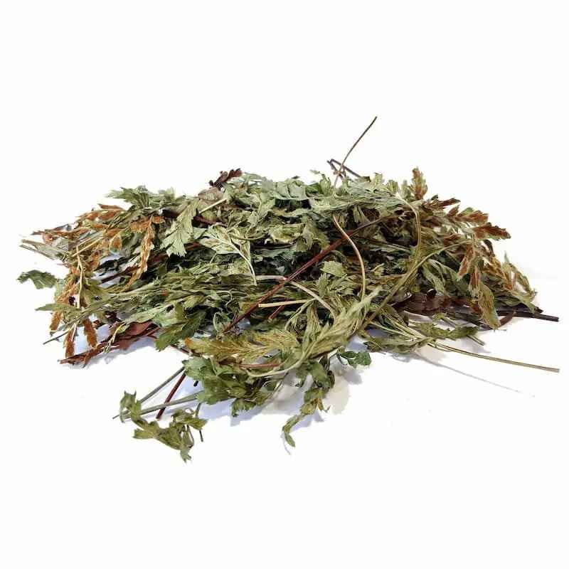 Bio-getrocknete FrauenhaarfarnBlätter - 500 g
