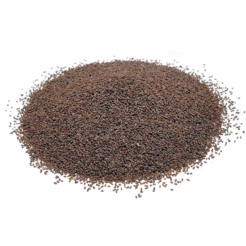Getrocknete Plantago major Samen (Wegerich) - 600 g