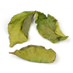 Bio-getrocknete iranische LimettenBlätter – 700 g