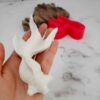 Fish Silicone Candle Mold – Fisch Silikon Kerzenform