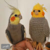 Amigurumi Kakadupapagei in Plüsch – Handgemachtes Gehäkeltes Vogel-Kuscheltier | Weich und Charmant