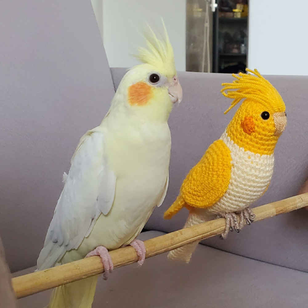 Amigurumi Kakadupapagei in Plüsch – Handgemachtes Gehäkeltes Vogel-Kuscheltier | Weich und Charmant