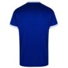 Fan-Fußballtrikot Esteghlal Iran FC – Design Lion
