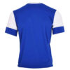 Esteghlal FC Fan-Trikot - Taj-Design