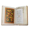 Rubaiyat von Omar Khayyam Buch (Englisch & Persisch)