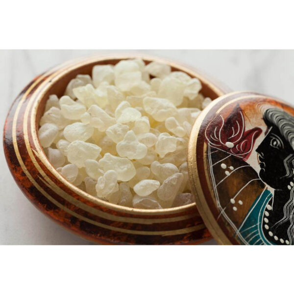 Rumi Mastagi (Pistacia Lentiscus) – 100 Gramm