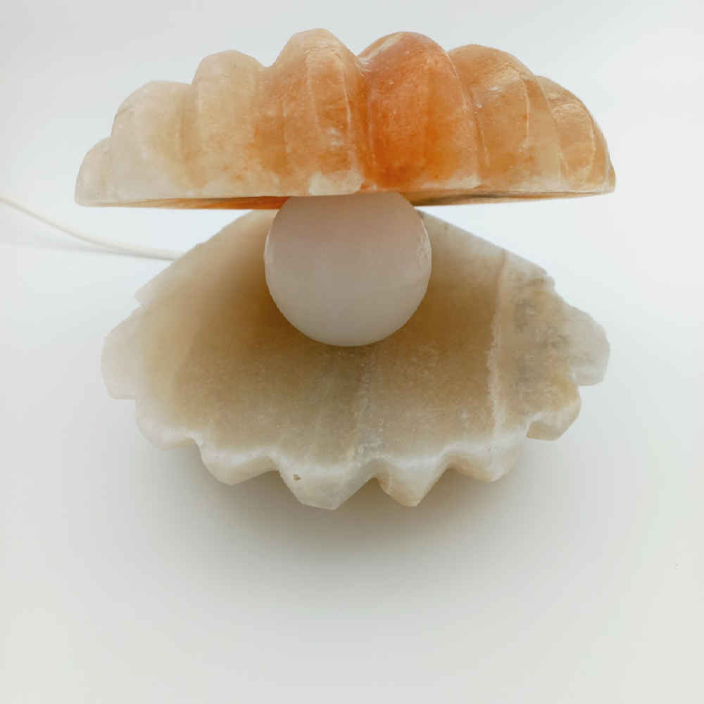 Salzlampe – Handgefertigtes Design aus Muschel und Perle