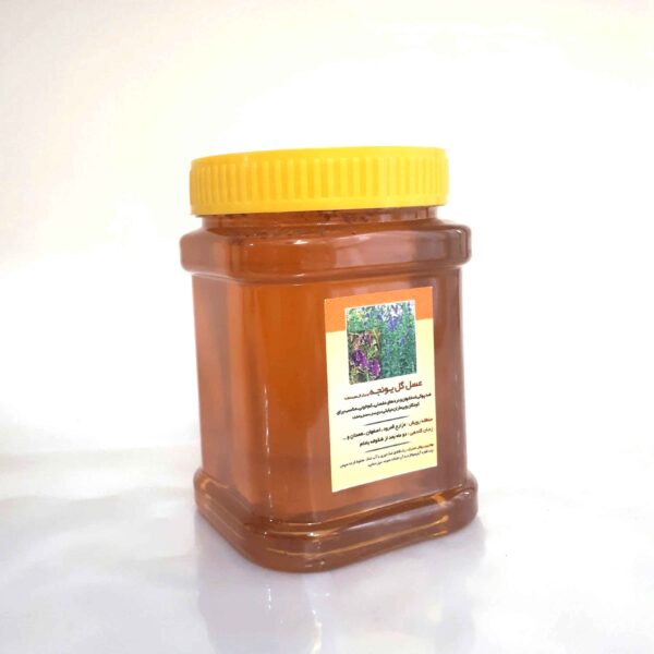 Iranischer Alfalfa-Honig – Reine Wiesensüße (1000g)