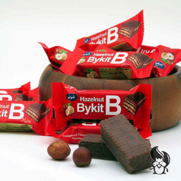 Bykit Haselnuss-Waffel mit Kakaoglasur 45 g (x20)