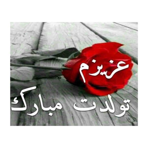 Happy Birthday Grußkarte mit elegantem rotem Rosendesign