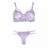 Lingerie-Set Spitzen-BH & Tanga für Damen, zwei Teile