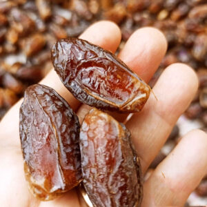 Bio-iranische Shahabi-getrocknete Datteln – 1000 Gramm