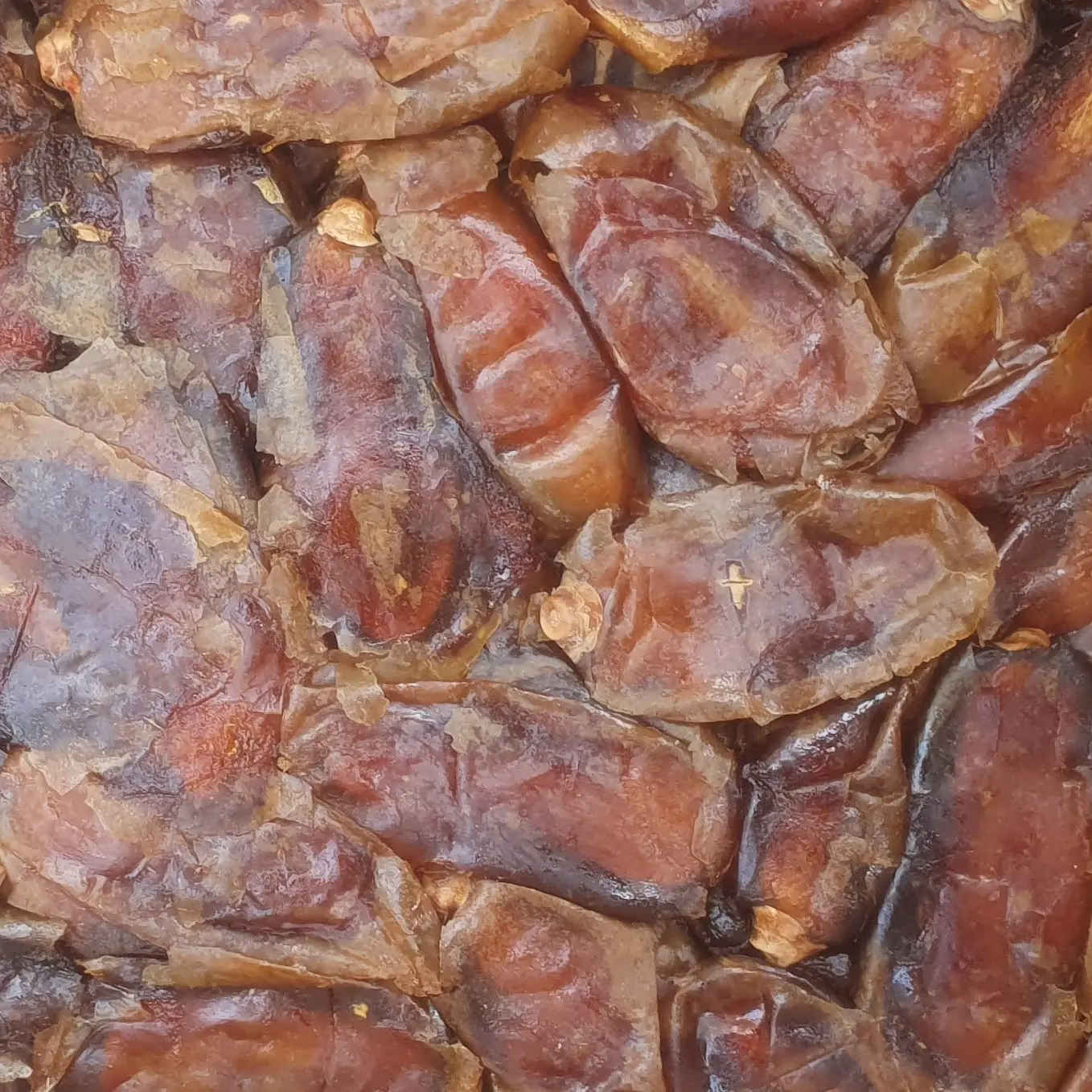 Bio-iranische Shahani-getrocknete Datteln – 3000 Gramm