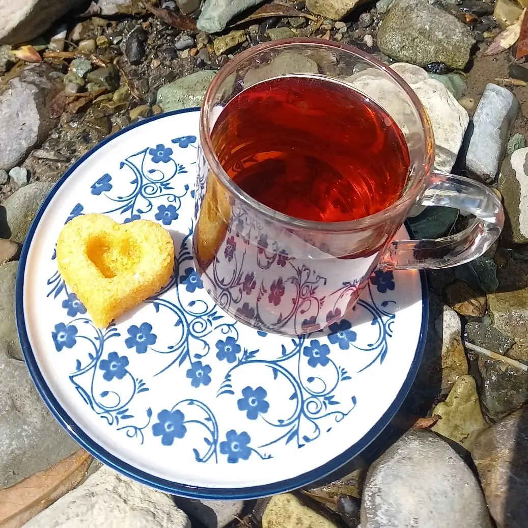 Nabat – Persische herzförmige Kandiszuckerstangen – 21 Stück