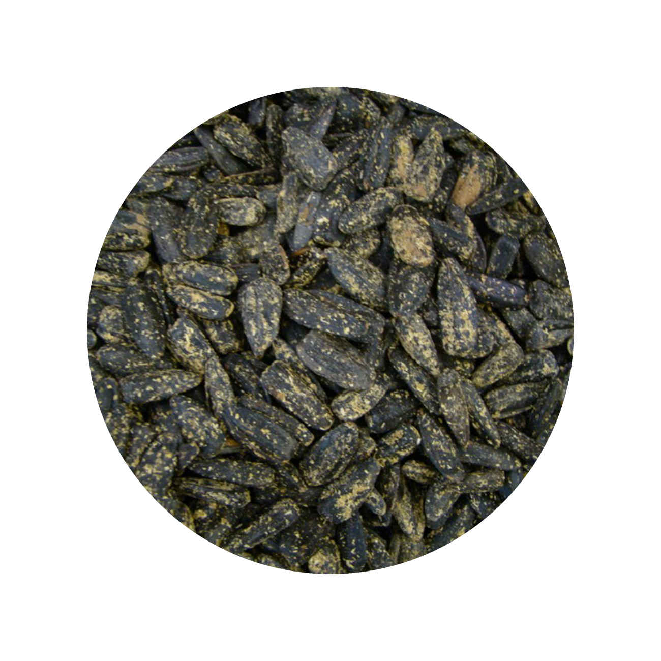 Khoy Sonnenblumenkerne mit Golpar und Salz – 720 g (2×360 g)