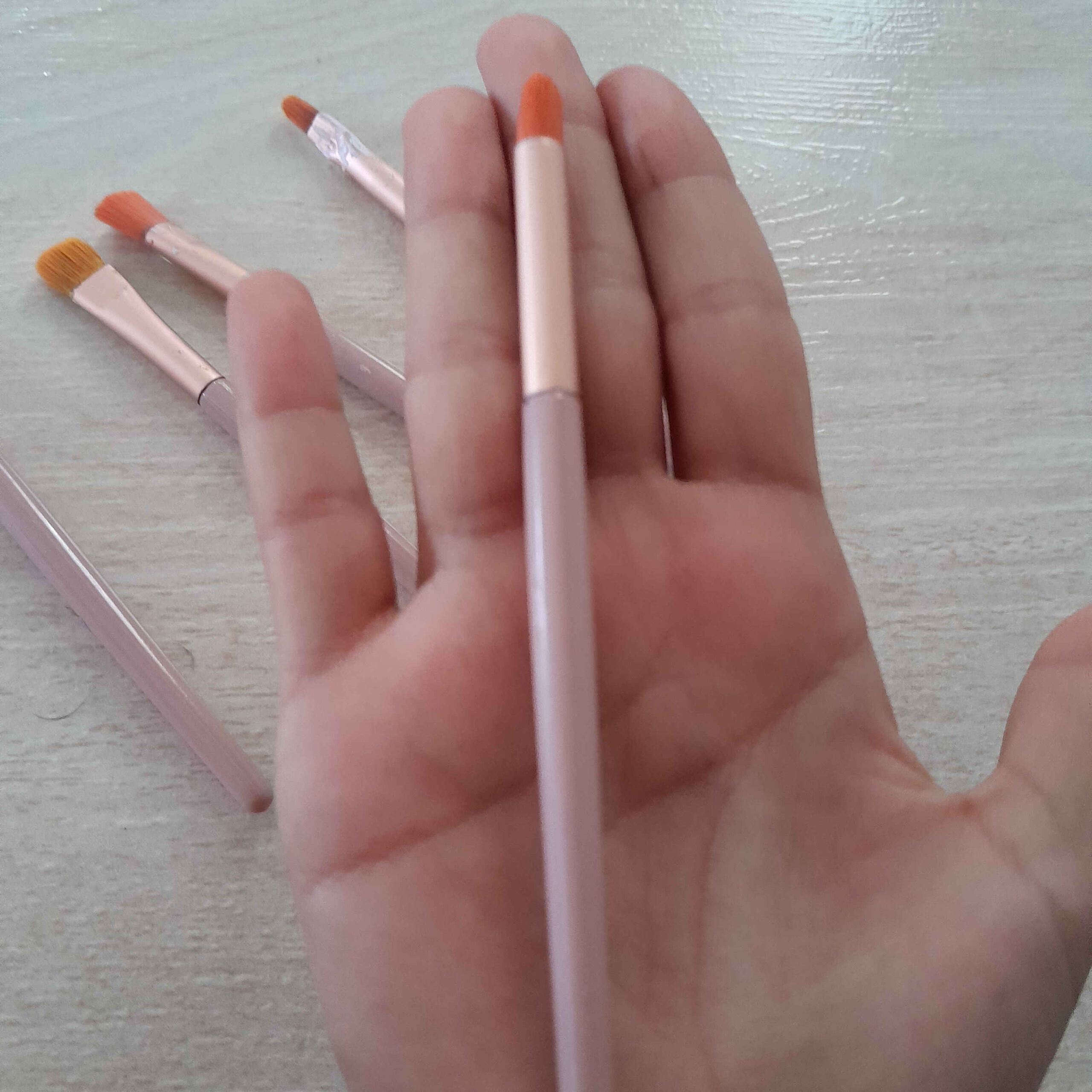 5-teiliger Filbert Borstenpinsel-Set für Aquarell, Acryl und Gouache