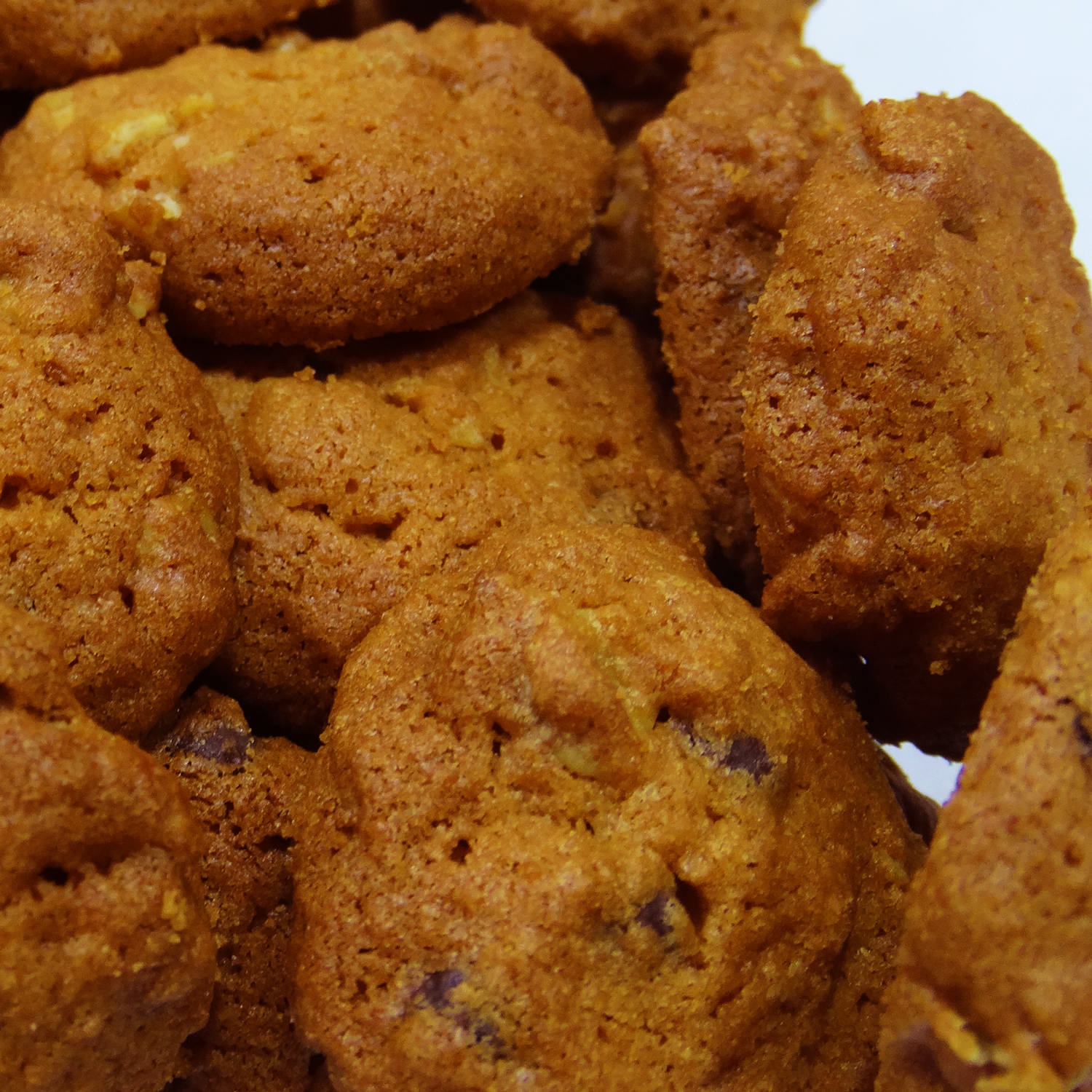 Persische Diätgerstenkekse aus Qazvin 700 Gramm (2x)