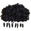 Khoy Shamshiri Jumbo Sonnenblumenkerne Snack - 1000 g