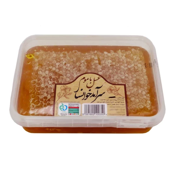 Iranischer Vielblütenhonig mit Wabe – Aus der Region Khansar (700g)