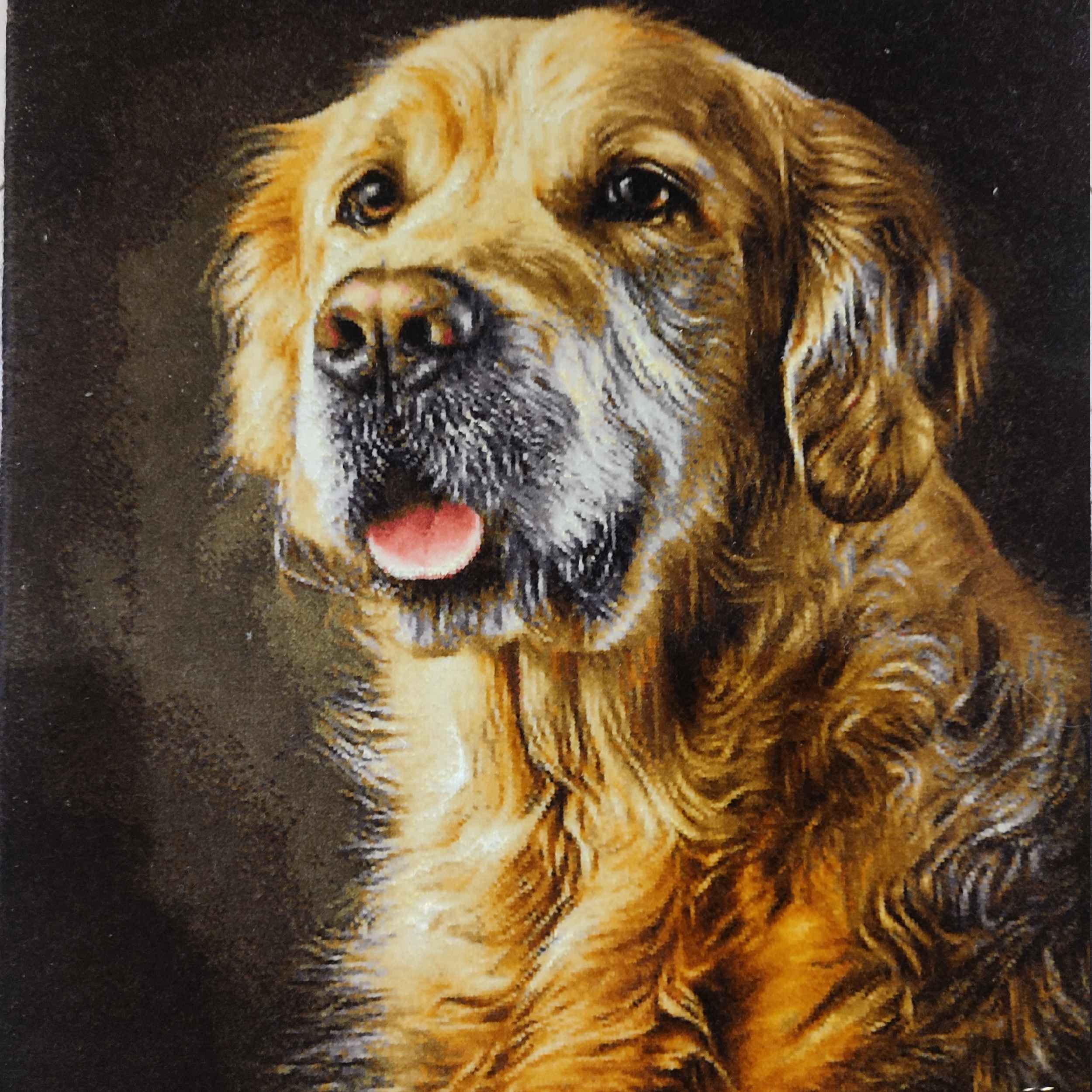 Handgeknüpfter persischer Bildteppich aus Tabriz, der einen Golden Retriever darstellt