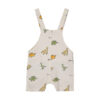 Baby Overall Set von 3 mit Dinosaurier Design