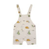 Baby Overall Set von 3 mit Dinosaurier Design