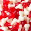 Halal Gummibonbons - Fruchtgeschmack Knochenform - Aidin (1000g)