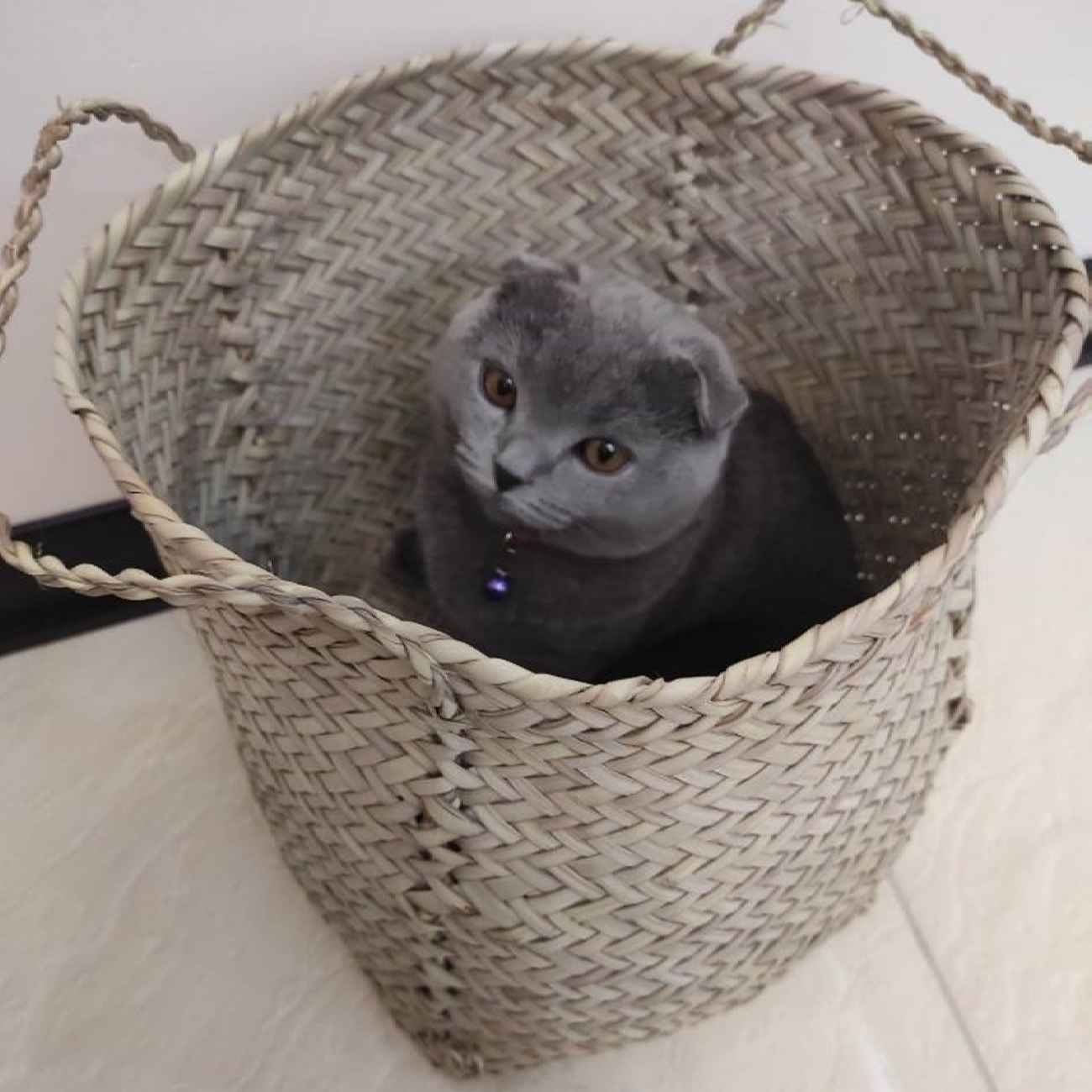 Persischer handgewebter Palmblatt-Aufbewahrungskorb mit Griff