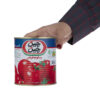 Iranische Dosentomatenpaste - Chin Chin 800g (Packung mit 2)