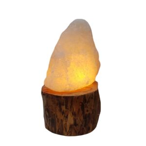 Persische Glow-Salzklemme – Handgefertigt mit Holzsockel und künstlerischem Design