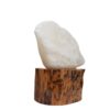 Persische Glow-Salzklemme - Handgefertigt mit Holzsockel und künstlerischem Design