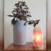 Persische Glow-Salzklemme - Handgefertigt mit Holzsockel und Felsen-Design