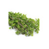 Bio-getrocknete iranische MajoranBlätter - 120 g