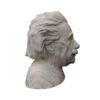 Albert Einstein Büste Figur - Berühmtes Wissenschaftler-Kunstwerk