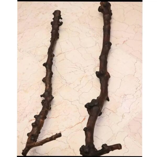 Iranische Derwisch Ethnische Holzkanne