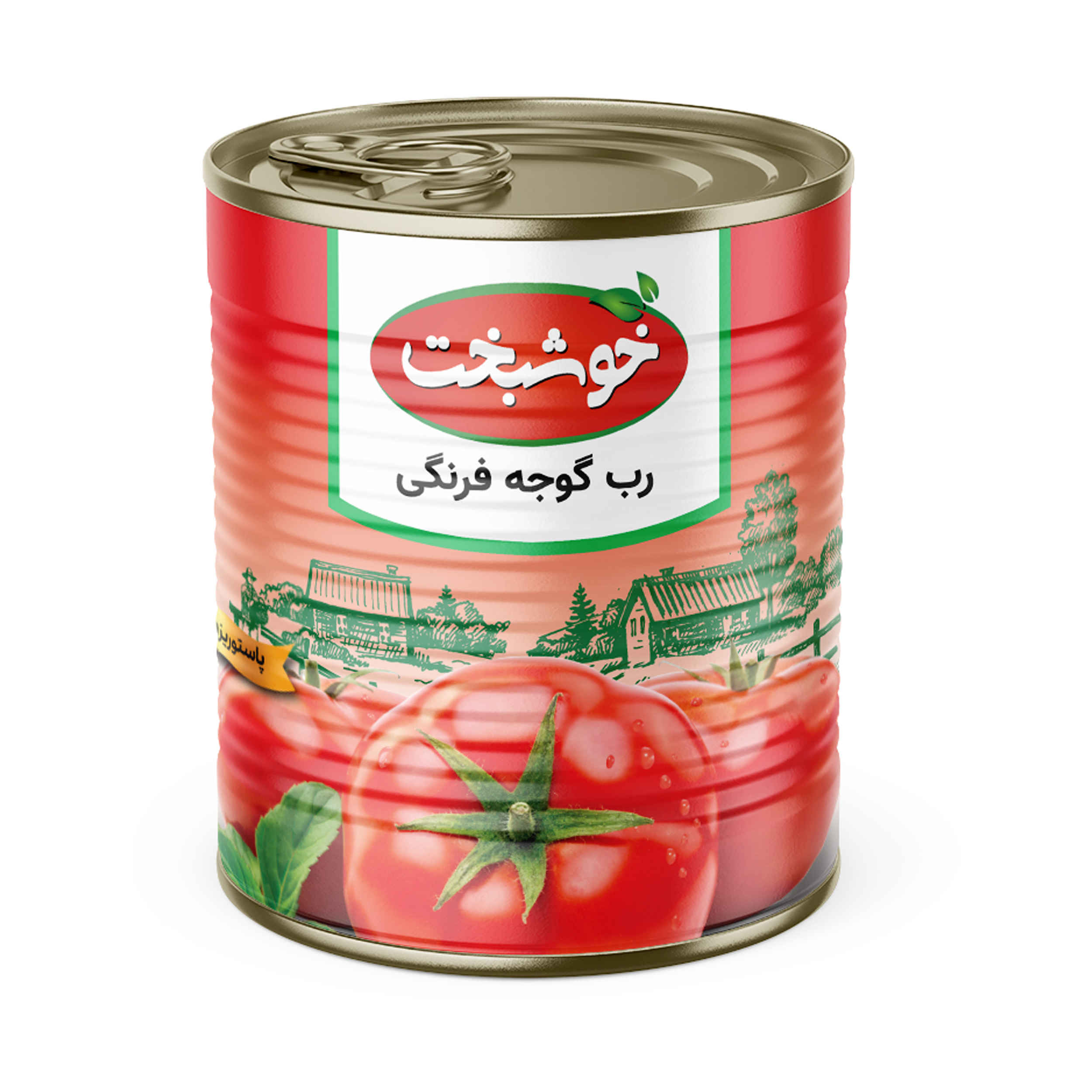 Persische Dosentomatenpaste Khoshbakht 800g (2x)