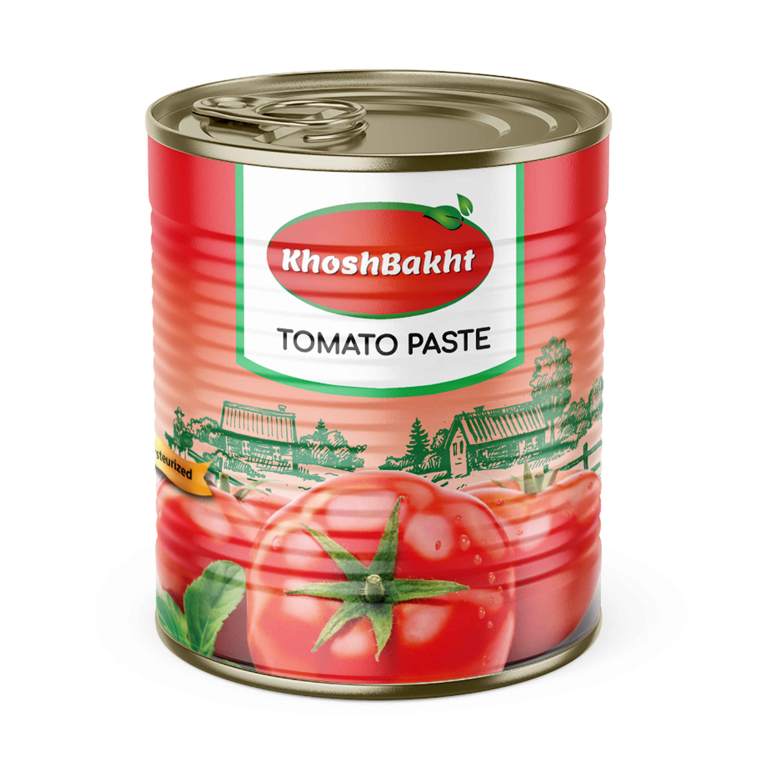 Persische Dosentomatenpaste Khoshbakht 800g (2x)