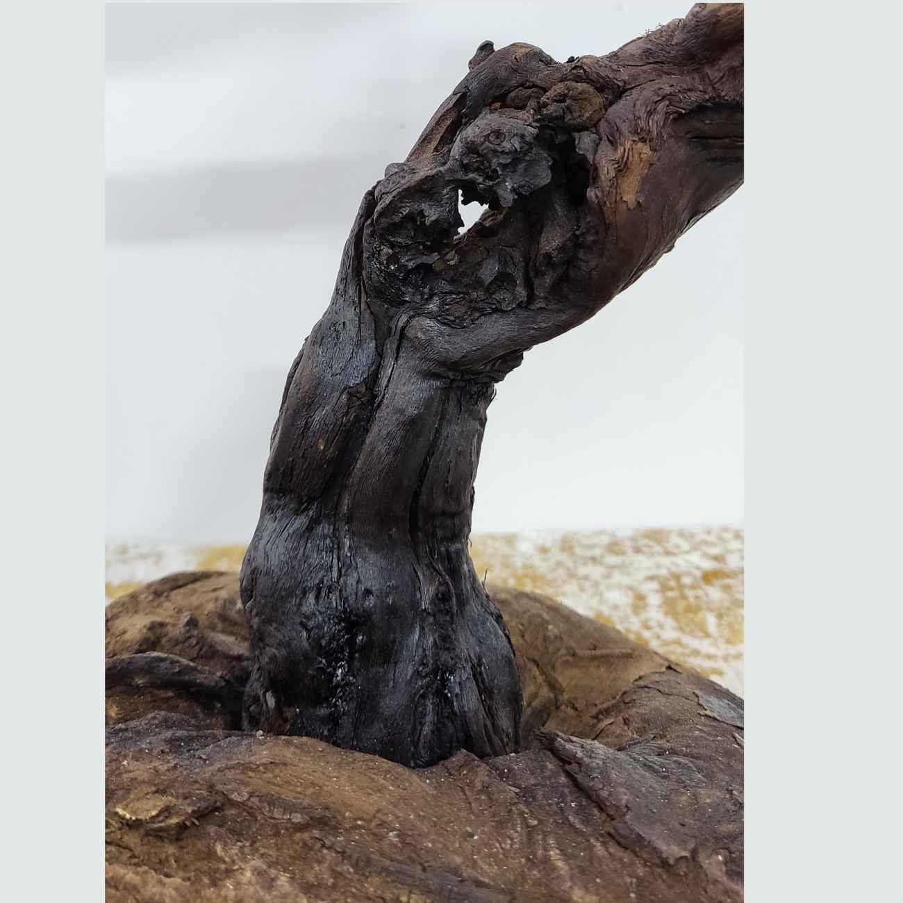 Rustikale Holzstamm Tischlampe Natürlich Handgefertigt